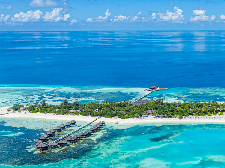 双鱼 - 马尔代夫5星级度假村